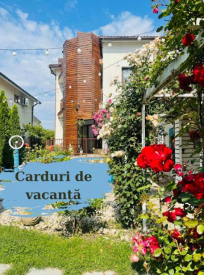 Vila Viorica